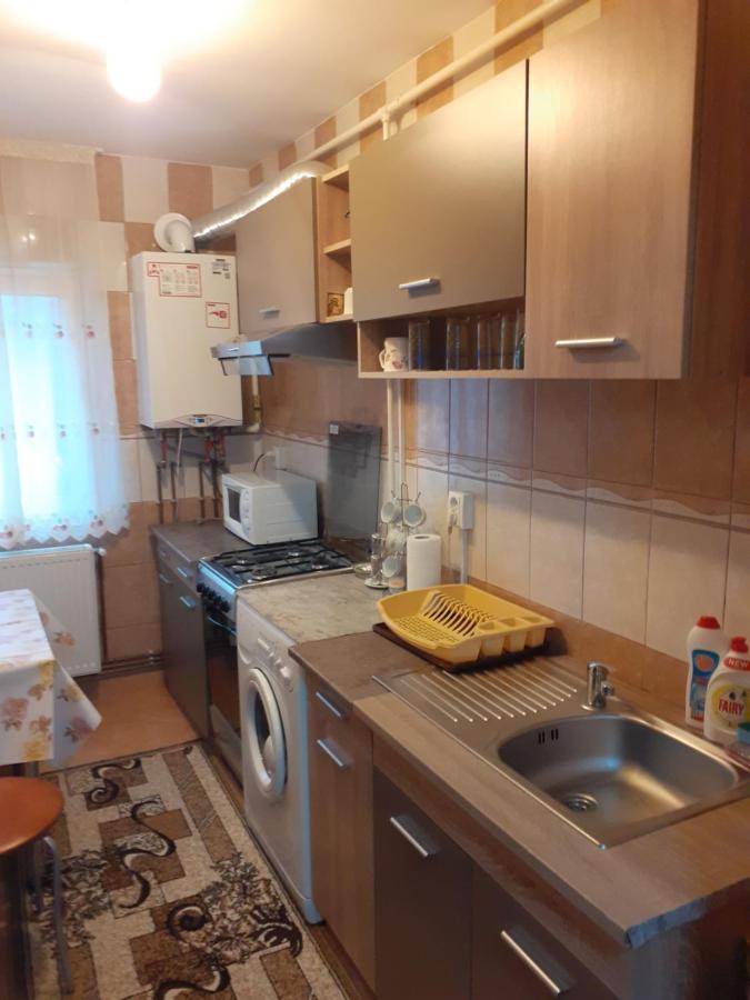 Garsoniera George Apartment Tirgu Ocna Exterior photo